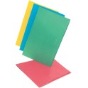 Guia Para Folder Celuguia Colores Surtidos Norma
